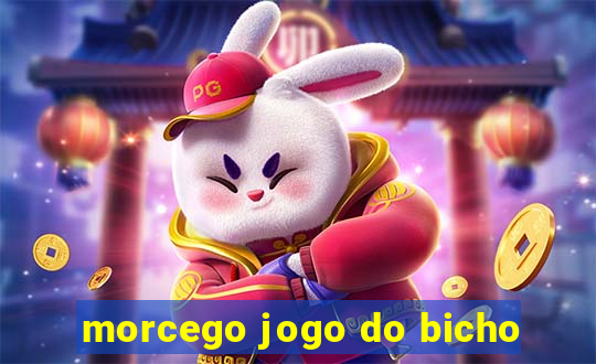 morcego jogo do bicho